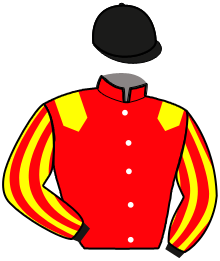 casaque portée par David W. jockey du cheval de course LOUVOIS D'AVIGNERE, information pmu ZETURF