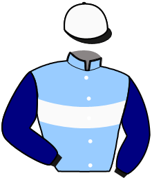 casaque portée par Viaud Tho. jockey du cheval de course JOSETTA DE RIL, information pmu ZETURF