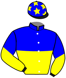 casaque portée par Baudry K. jockey du cheval de course HOLD UP IDEF, information pmu ZETURF casaque portée par Baudry K. jockey du cheval de course HOLD UP IDEF, information pmu ZETURF
