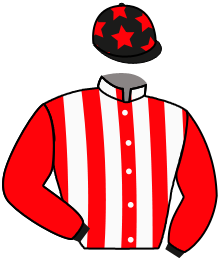 casaque portée par Nailov-ferhanov S. jockey du cheval de course GAYABAN UP, information pmu ZETURF