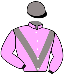 casaque portée par Richard G. jockey du cheval de course KLEM LANGY, information pmu ZETURF casaque portée par Richard G. jockey du cheval de course KLEM LANGY, information pmu ZETURF