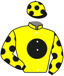 casaque portée par Boutin Hug. jockey du cheval de course JAGDA, information pmu ZETURF casaque portée par Boutin Hug. jockey du cheval de course JAGDA, information pmu ZETURF