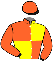 casaque portée par Lebourgeois Y. jockey du cheval de course LOUPINO, information pmu ZETURF casaque portée par Lebourgeois Y. jockey du cheval de course LOUPINO, information pmu ZETURF
