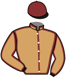 casaque portée par Forest M. jockey du cheval de course I STILL DREAM, information pmu ZETURF casaque portée par Forest M. jockey du cheval de course I STILL DREAM, information pmu ZETURF
