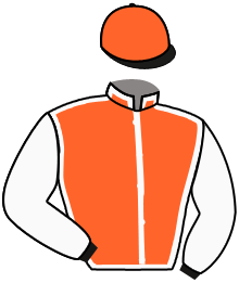 casaque portée par Gavilan Ale. jockey du cheval de course YQUELON, information pmu ZETURF casaque portée par Gavilan Ale. jockey du cheval de course YQUELON, information pmu ZETURF