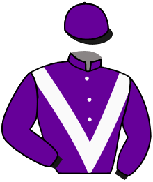 casaque portée par Lemaitre A. jockey du cheval de course VICTORY GATSBY, information pmu ZETURF casaque portée par Lemaitre A. jockey du cheval de course VICTORY GATSBY, information pmu ZETURF