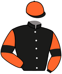 casaque portée par Andrieux T. jockey du cheval de course MOONRAKER CHIC, information pmu ZETURF casaque portée par Andrieux T. jockey du cheval de course MOONRAKER CHIC, information pmu ZETURF
