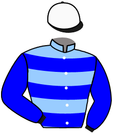casaque portée par Nabet K. jockey du cheval de course FOREST CROWN, information pmu ZETURF casaque portée par Nabet K. jockey du cheval de course FOREST CROWN, information pmu ZETURF