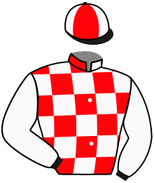 casaque portée par Faivre-picon G. jockey du cheval de course POLLEXFEN, information pmu ZETURF casaque portée par Faivre-picon G. jockey du cheval de course POLLEXFEN, information pmu ZETURF