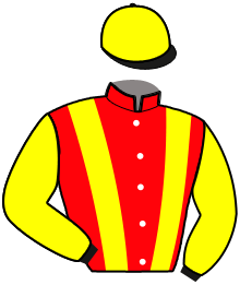 casaque portée par Bouchez M. jockey du cheval de course IDEAL D'ARTONGES, information pmu ZETURF