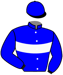 casaque portée par Werle A. jockey du cheval de course ARTICHOPE, information pmu ZETURF