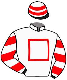 casaque portée par Baillou N. jockey du cheval de course LYON CLERMONT, information pmu ZETURF