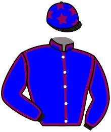 casaque portée par Gavilan Ale. jockey du cheval de course MANNE, information pmu ZETURF casaque portée par Gavilan Ale. jockey du cheval de course MANNE, information pmu ZETURF
