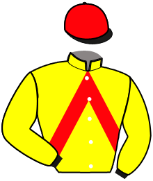 casaque portée par Marasco D. jockey du cheval de course JO DE L'ETANG, information pmu ZETURF casaque portée par Marasco D. jockey du cheval de course JO DE L'ETANG, information pmu ZETURF