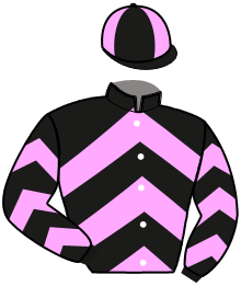 casaque portée par Danthu Ph. jockey du cheval de course L'ARTISTE DERONFIN, information pmu ZETURF casaque portée par Danthu Ph. jockey du cheval de course L'ARTISTE DERONFIN, information pmu ZETURF