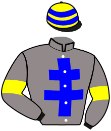 casaque portée par Hubert A. jockey du cheval de course MIBORA BUISSONAY, information pmu ZETURF casaque portée par Hubert A. jockey du cheval de course MIBORA BUISSONAY, information pmu ZETURF