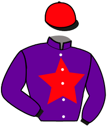 casaque portée par Voisin A. jockey du cheval de course JAVA WIC, information pmu ZETURF casaque portée par Voisin A. jockey du cheval de course JAVA WIC, information pmu ZETURF