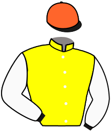 casaque portée par Velon Mlle M. jockey du cheval de course TRUE TEDESCO, information pmu ZETURF casaque portée par Velon Mlle M. jockey du cheval de course TRUE TEDESCO, information pmu ZETURF