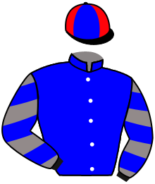 casaque portée par Vilchien A. jockey du cheval de course BIRDSONG, information pmu ZETURF casaque portée par Vilchien A. jockey du cheval de course BIRDSONG, information pmu ZETURF
