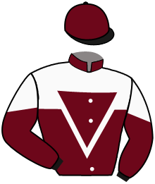 casaque portée par Weissmeier Mlle E. R. jockey du cheval de course MANDOKI, information pmu ZETURF