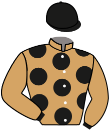 casaque portée par Grosso Mlle L. jockey du cheval de course WINDJANA, information pmu ZETURF