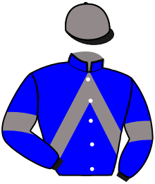 casaque portée par Cingland S. jockey du cheval de course HAPPY LYL, information pmu ZETURF