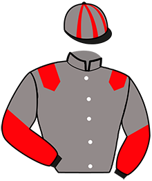 casaque portée par Vercruysse P. jockey du cheval de course KOKIN DE BELLANDE, information pmu ZETURF casaque portée par Vercruysse P. jockey du cheval de course KOKIN DE BELLANDE, information pmu ZETURF