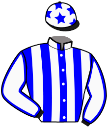 casaque portée par Gueriel J. jockey du cheval de course MAGISTERIENE, information pmu ZETURF casaque portée par Gueriel J. jockey du cheval de course MAGISTERIENE, information pmu ZETURF