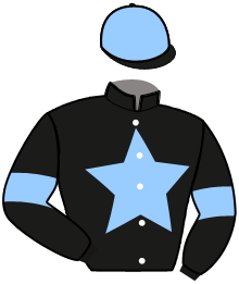 casaque portée par Verva Pie. Y. jockey du cheval de course LYNX DU CHATELET, information pmu ZETURF