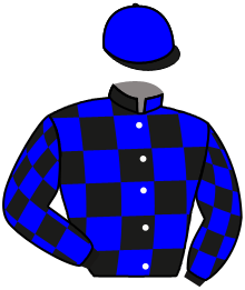 casaque portée par Boutin Hug. jockey du cheval de course THE WASP, information pmu ZETURF casaque portée par Boutin Hug. jockey du cheval de course THE WASP, information pmu ZETURF