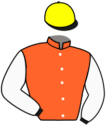 casaque portée par Bouton L. jockey du cheval de course SHINING YELLOW, information pmu ZETURF casaque portée par Bouton L. jockey du cheval de course SHINING YELLOW, information pmu ZETURF