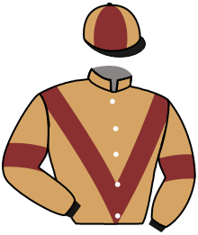 casaque portée par Lefebvre F. jockey du cheval de course SUMMIT, information pmu ZETURF casaque portée par Lefebvre F. jockey du cheval de course SUMMIT, information pmu ZETURF