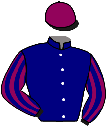 casaque portée par Marie Benj. jockey du cheval de course SUMMER WAY, information pmu ZETURF casaque portée par Marie Benj. jockey du cheval de course SUMMER WAY, information pmu ZETURF