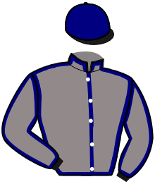casaque portée par Auvrai Mme Ser. jockey du cheval de course ISLAND GIS, information pmu ZETURF casaque portée par Auvrai Mme Ser. jockey du cheval de course ISLAND GIS, information pmu ZETURF