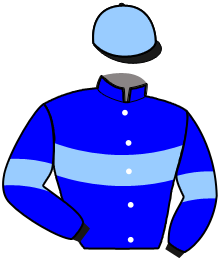 casaque portée par Mary J. Ph. jockey du cheval de course KLEOPATRA BLUE, information pmu ZETURF