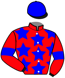 casaque portée par Raffin E. jockey du cheval de course HATCHI DU KLAU, information pmu ZETURF casaque portée par Raffin E. jockey du cheval de course HATCHI DU KLAU, information pmu ZETURF