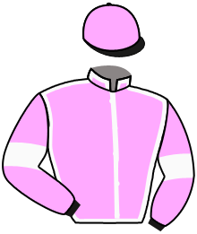 casaque portée par Brechet Léo P. jockey du cheval de course LANCRAY, information pmu ZETURF casaque portée par Brechet Léo P. jockey du cheval de course LANCRAY, information pmu ZETURF