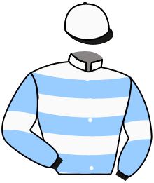 casaque portée par Reveley J. jockey du cheval de course HASARD DE BRION, information pmu ZETURF casaque portée par Reveley J. jockey du cheval de course HASARD DE BRION, information pmu ZETURF