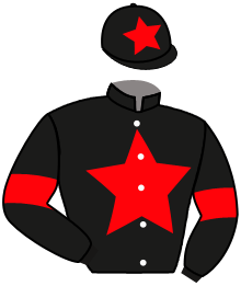 casaque portée par Chesneau A. jockey du cheval de course COCOTTE ROYALE, information pmu ZETURF casaque portée par Chesneau A. jockey du cheval de course COCOTTE ROYALE, information pmu ZETURF