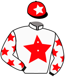 casaque portée par Launay Mme Océ. jockey du cheval de course JOSIE D 'AJONC, information pmu ZETURF casaque portée par Launay Mme Océ. jockey du cheval de course JOSIE D 'AJONC, information pmu ZETURF