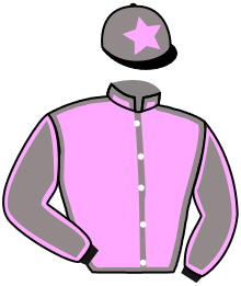 casaque portée par Nabet K. jockey du cheval de course TILIN TALAN, information pmu ZETURF casaque portée par Nabet K. jockey du cheval de course TILIN TALAN, information pmu ZETURF