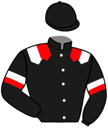 casaque portée par Koubiche Jér. jockey du cheval de course BEHIND BARS, information pmu ZETURF casaque portée par Koubiche Jér. jockey du cheval de course BEHIND BARS, information pmu ZETURF
