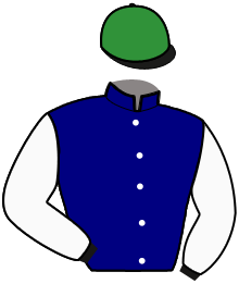 casaque portée par Beauvais Max jockey du cheval de course HELYSEE WILD, information pmu ZETURF casaque portée par Beauvais Max jockey du cheval de course HELYSEE WILD, information pmu ZETURF