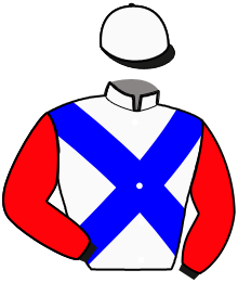 casaque portée par Thiefaine D. jockey du cheval de course GOLOVKIN NATHANPI, information pmu ZETURF casaque portée par Thiefaine D. jockey du cheval de course GOLOVKIN NATHANPI, information pmu ZETURF