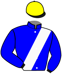 casaque portée par Lesne J. M. jockey du cheval de course HAOUSSA DE VENNES, information pmu ZETURF casaque portée par Lesne J. M. jockey du cheval de course HAOUSSA DE VENNES, information pmu ZETURF