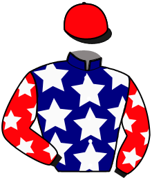 casaque portée par Neirinck Ado. jockey du cheval de course HELLO VRAC, information pmu ZETURF casaque portée par Neirinck Ado. jockey du cheval de course HELLO VRAC, information pmu ZETURF