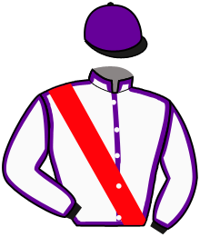 casaque portée par Grandin M. jockey du cheval de course DAMASK BLADE, information pmu ZETURF casaque portée par Grandin M. jockey du cheval de course DAMASK BLADE, information pmu ZETURF