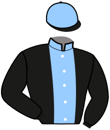 casaque portée par Ensch N. jockey du cheval de course GAUCHO DE HOUELLE, information pmu ZETURF casaque portée par Ensch N. jockey du cheval de course GAUCHO DE HOUELLE, information pmu ZETURF