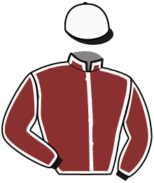 casaque portée par Gocciadoro A. jockey du cheval de course OSCAR L.A., information pmu ZETURF casaque portée par Gocciadoro A. jockey du cheval de course OSCAR L.A., information pmu ZETURF