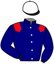 casaque portée par Grumetz Max. jockey du cheval de course JUTLAND, information pmu ZETURF casaque portée par Grumetz Max. jockey du cheval de course JUTLAND, information pmu ZETURF